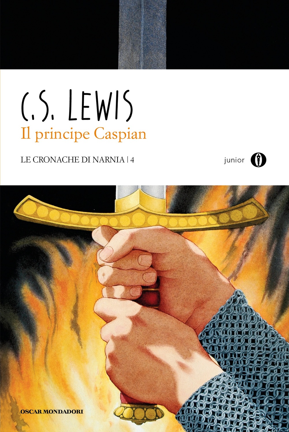 Le Cronache Di Narnia Libro Età Consigliata