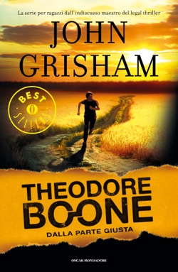 Theodore Boone 4 -  Dalla parte giusta
