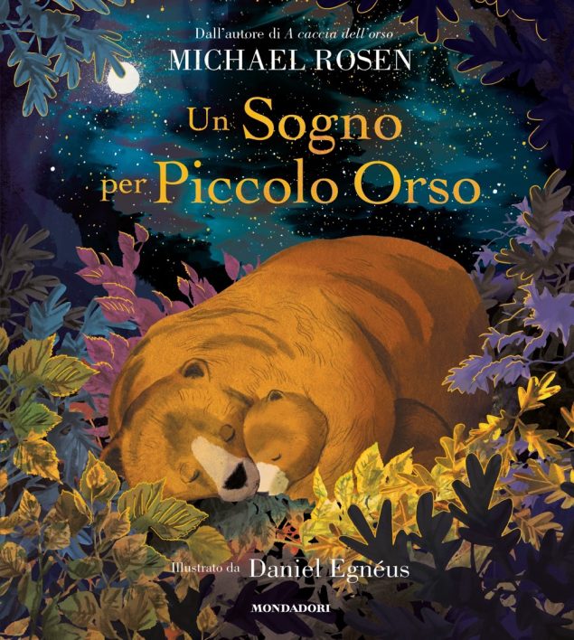 Un sogno per Piccolo Orso